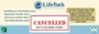 LifePath Information Session