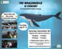Whalemobile Registration Begins Saturday, October 21